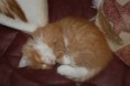 /album/sigges-bilder/dsc-8501-jpg/