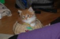 /album/sigges-bilder/dsc-8535-jpg/