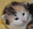 /album/lilys-bilder/lily1-jpg/