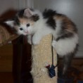 /album/lilys-bilder/lily2b-jpg1/