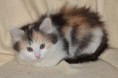 /album/lilys-bilder/lily3-jpg1/